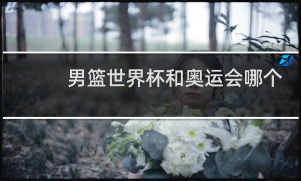 男篮世界杯和奥运会哪个重要图片