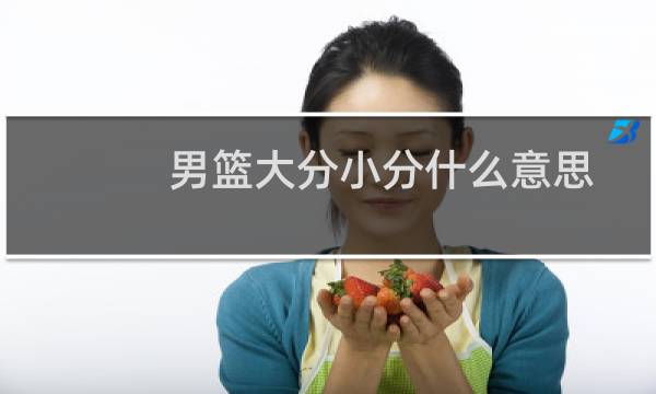 男篮大分小分什么意思图片