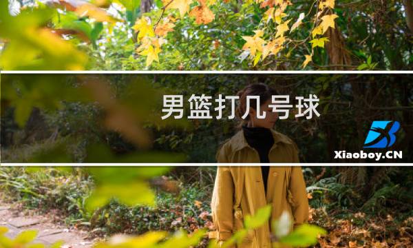 男篮打几号球图片