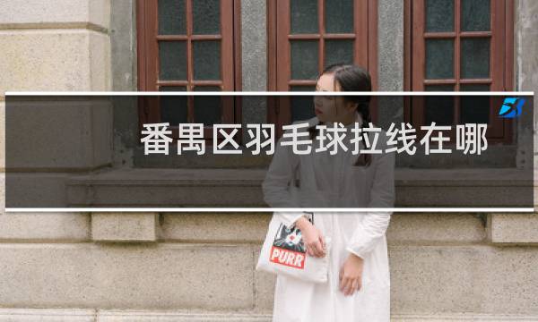 番禺区羽毛球拉线在哪图片