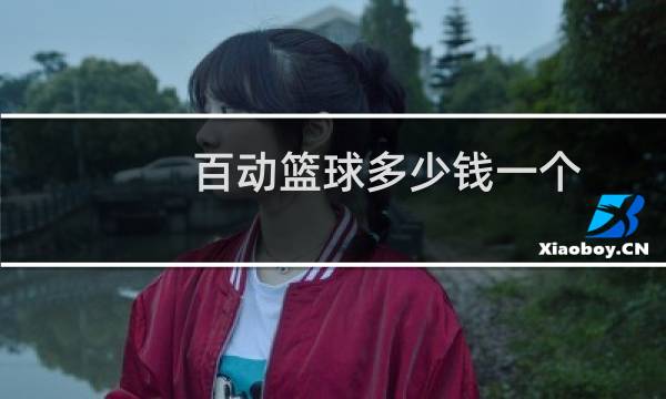 百动篮球多少钱一个图片