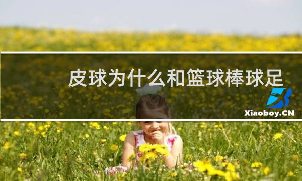 皮球为什么和篮球棒球足球不是同一类图片