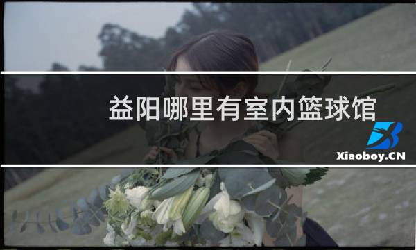 益阳哪里有室内篮球馆图片