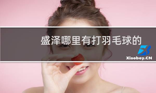 盛泽哪里有打羽毛球的图片