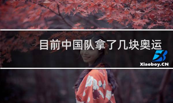 目前中国队拿了几块奥运奖牌图片