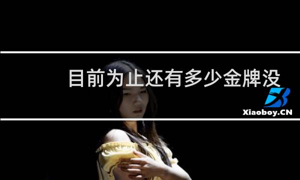 目前为止还有多少金牌没出来图片