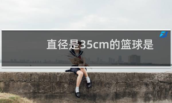直径是35cm的篮球是几号图片