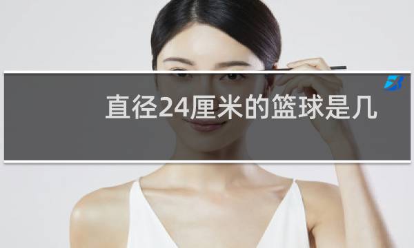 直径24厘米的篮球是几号图片