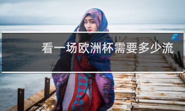 看一场欧洲杯需要多少流量图片
