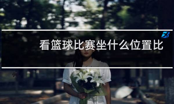 看篮球比赛坐什么位置比较好图片