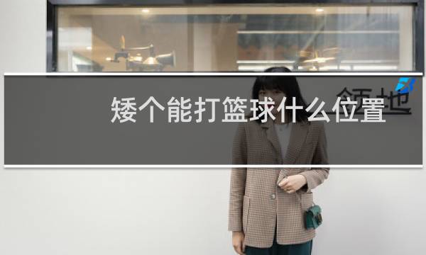 矮个能打篮球什么位置图片