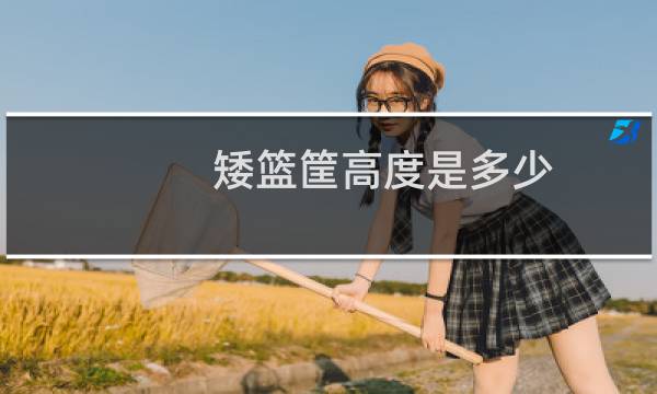 矮篮筐高度是多少图片