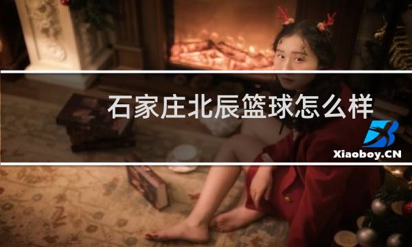 石家庄北辰篮球怎么样图片