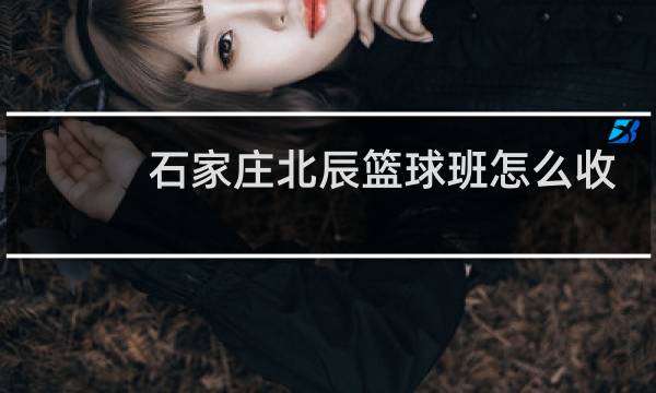 石家庄北辰篮球班怎么收费图片