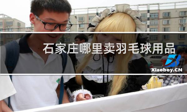 石家庄哪里卖羽毛球用品店图片