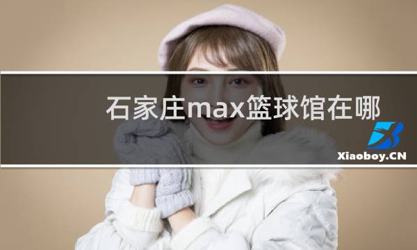 石家庄max篮球馆在哪图片