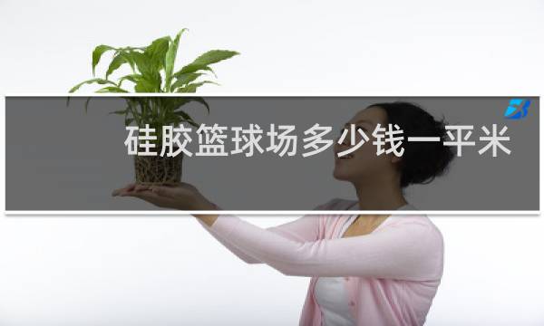 硅胶篮球场多少钱一平米图片