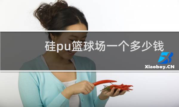 硅pu篮球场一个多少钱图片