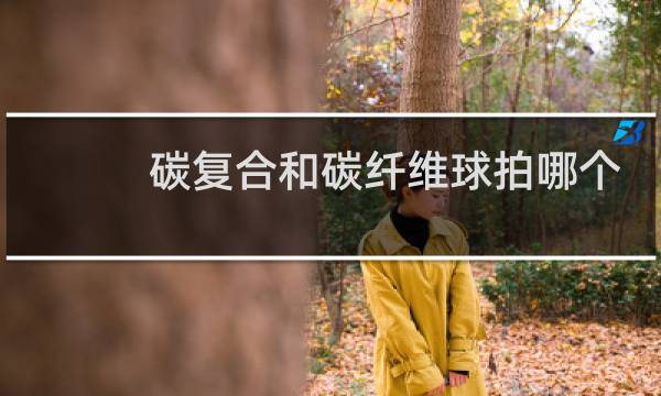 碳复合和碳纤维球拍哪个好图片