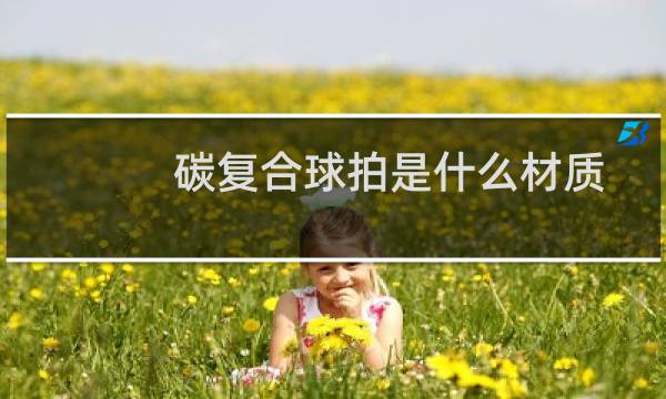 碳复合球拍是什么材质图片