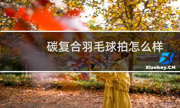 碳复合羽毛球拍怎么样图片