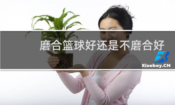 磨合篮球好还是不磨合好图片