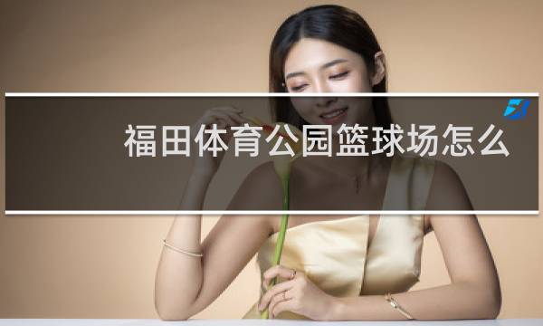 福田体育公园篮球场怎么收费图片