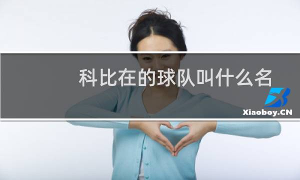 科比在的球队叫什么名图片