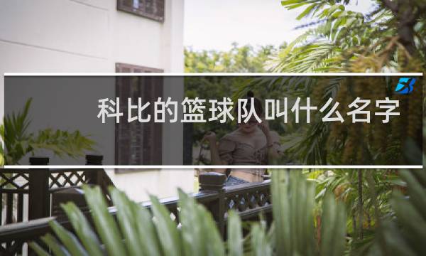 科比的篮球队叫什么名字图片