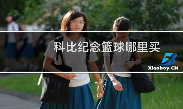 科比纪念篮球哪里买图片