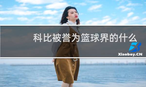 科比被誉为篮球界的什么图片