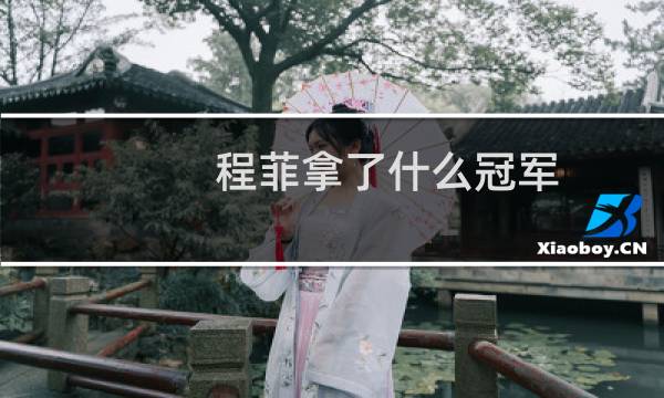 程菲拿了什么冠军图片
