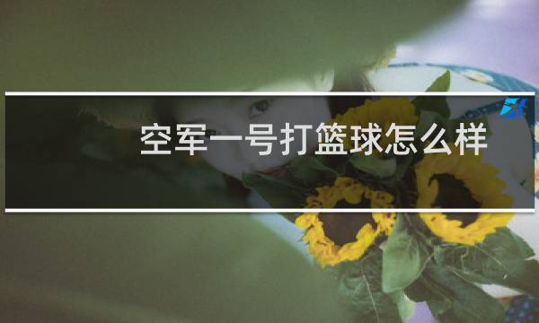 空军一号打篮球怎么样图片