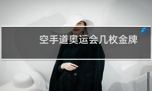 空手道奥运会几枚金牌图片