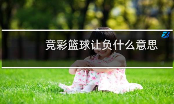 竞彩篮球让负什么意思图片