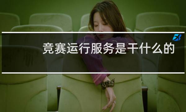 竞赛运行服务是干什么的图片