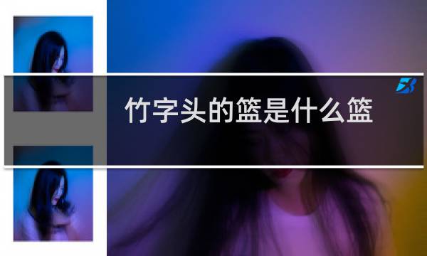 竹字头的篮是什么篮图片