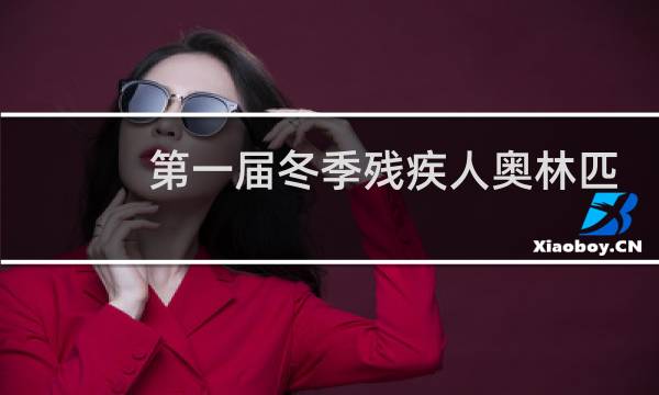 第一届冬季残疾人奥林匹克运动会在哪年举行图片