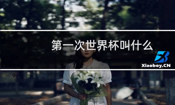 第一次世界杯叫什么图片