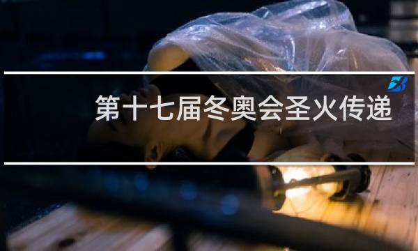 第十七届冬奥会圣火传递共有多少人参与图片
