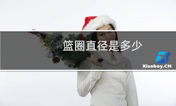篮圈直径是多少图片