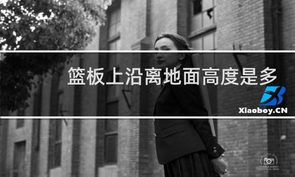 篮板上沿离地面高度是多少图片