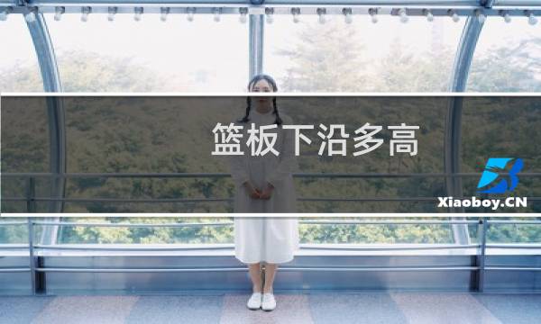 篮板下沿多高图片