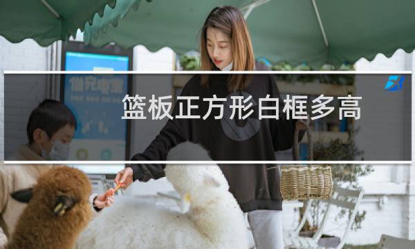 篮板正方形白框多高图片