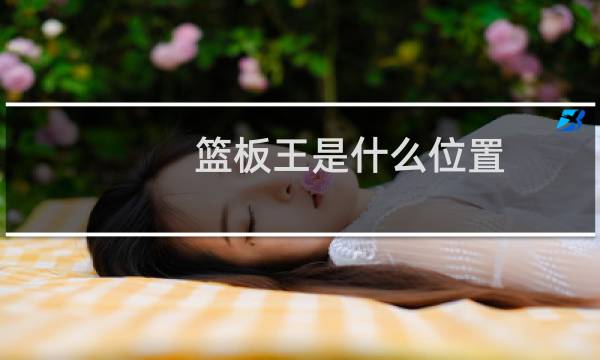 篮板王是什么位置图片
