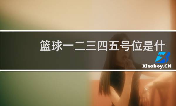 篮球一二三四五号位是什么意思图片