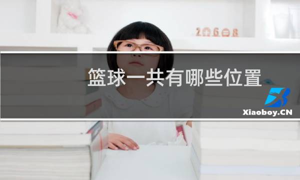 篮球一共有哪些位置图片