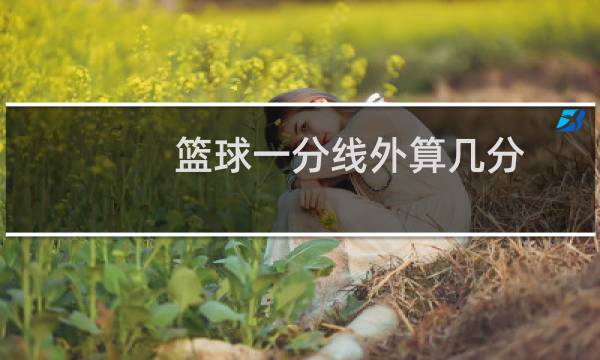 篮球一分线外算几分图片