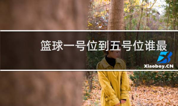 篮球一号位到五号位谁最强图片