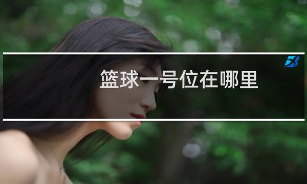 篮球一号位在哪里图片